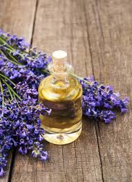 Lavanda S