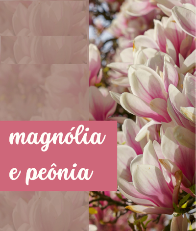 peonia y Magnolia 