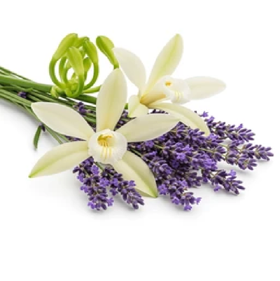 Lavanda, vainilla