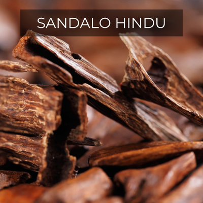 Sandalo Hindu