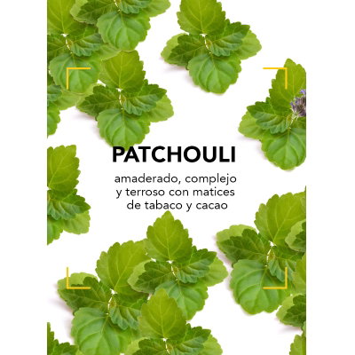 Patchulli
