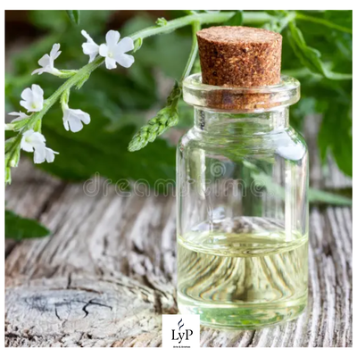 Verbena