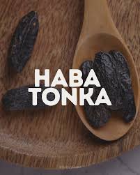 haba tonka