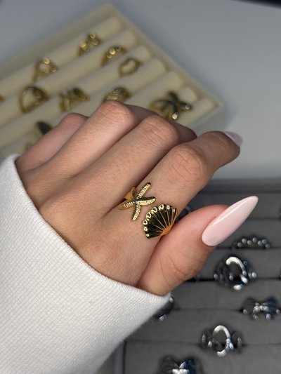 Anillo Playa