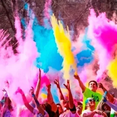 Polvo Holi X 50g Colores A Elección 