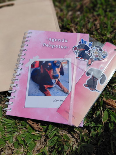 Agenda Perpetua