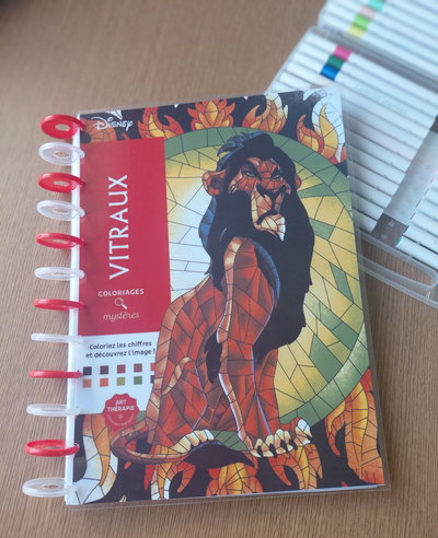 LIBRO- VITRALES 