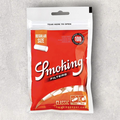 Filtros Smoking Regular x120