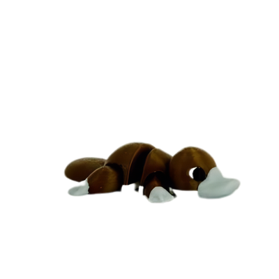 Lisandro (Ornitorrinco)