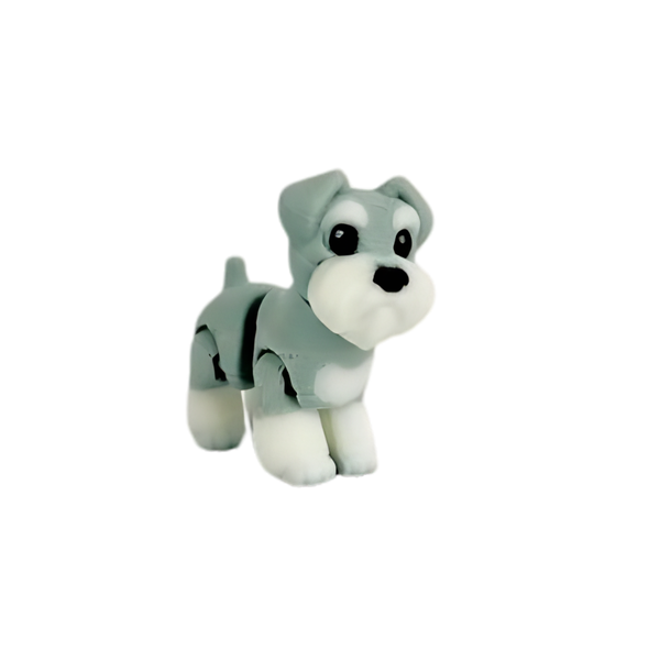 Don Zoilo (Schnauzer)