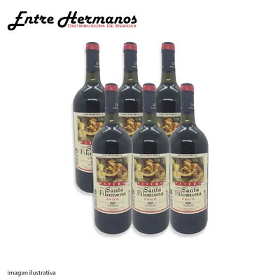 SANTA FILOMENA PATERO X6