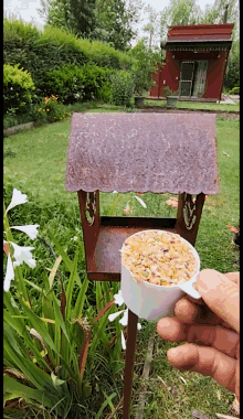 Comedero La Virgen y el Niño