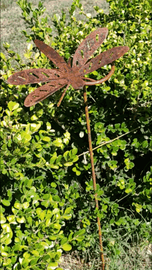 Libélula 3D