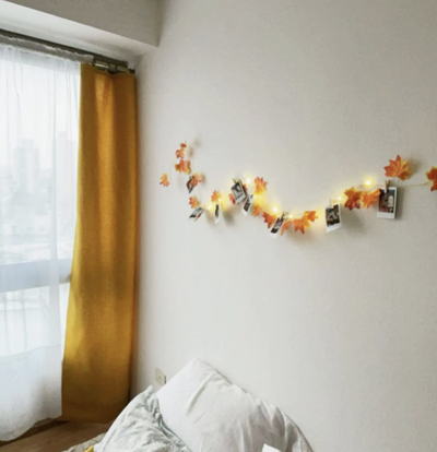 Hojas otoño + luces