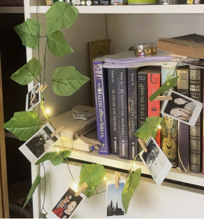 Hojas verano + luces