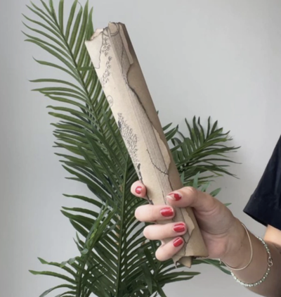 Mapa - Una corte de rosas y espinas