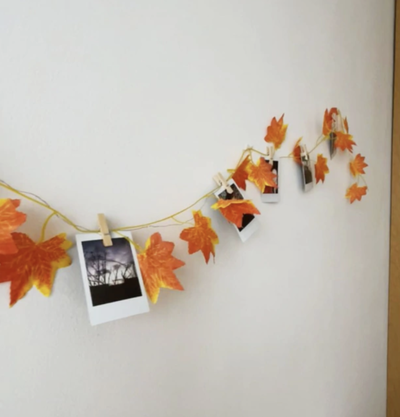 Hojas otoño + luces