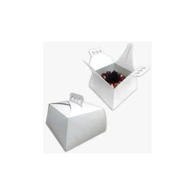 Caja Multiuso C/Asa Manija 21X21X11CM  X10U