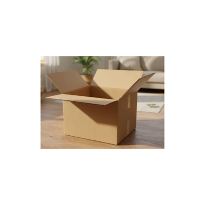 Caja CARTON 30X30X10  X10Uni