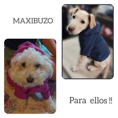 Buzitos de frisa 🐾🐾