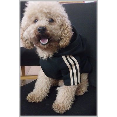 Buzo linea 🐾🐾