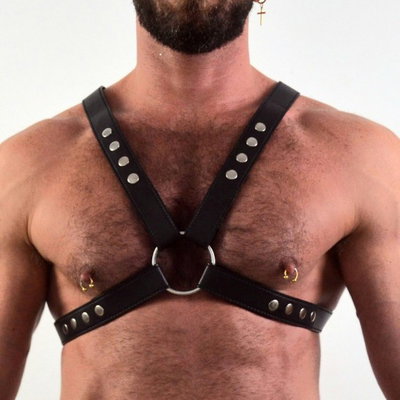Arnes pechera pectoral con broches