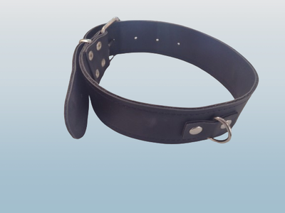 Collar clásico cuero negro