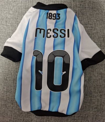 Camiseta Argentina