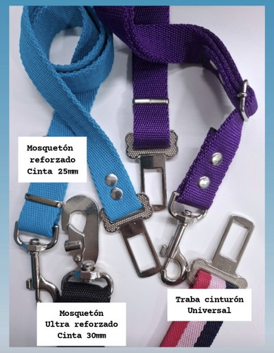 Cinturón de seguridad 