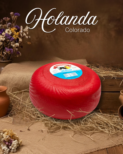 Queso Holanda colorado