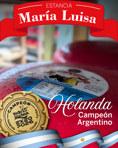 Queso Holanda colorado