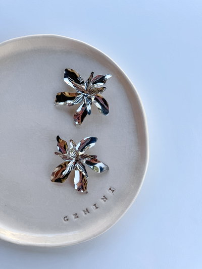 Aros Delia Silver