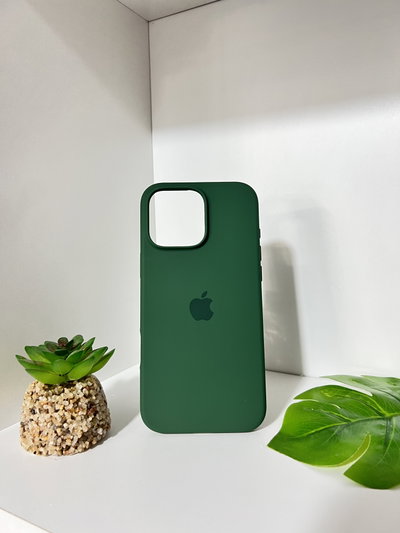 (17) Silicon case iPh 16 pro Max 