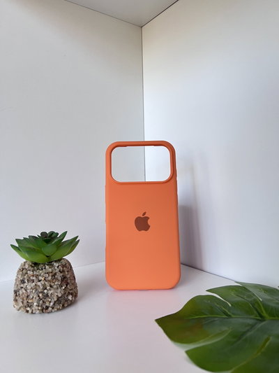 (23) Silicon case IPh 17 Pro