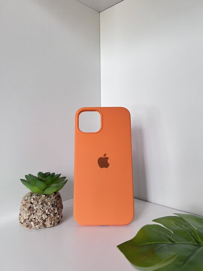 (31) Silicon case IPh 13 