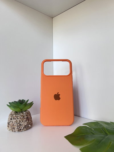(29) Silicon case iPh 17 pro Max 