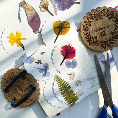 Herbario - prensa floral