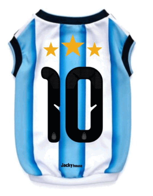 Camiseta Argentina Oficial