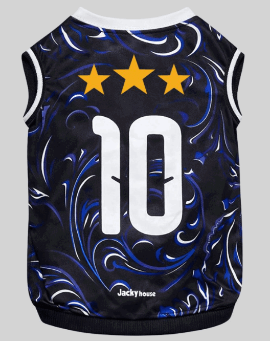 Camiseta Argentina Suplente