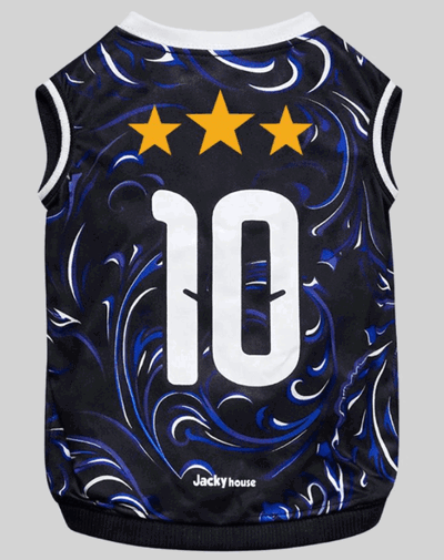 Camiseta Argentina Suplente