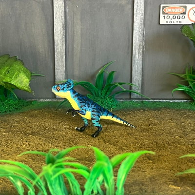 Microceratops
