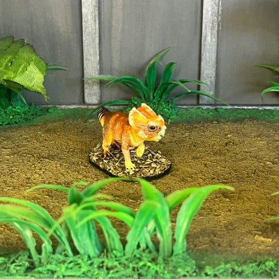 Aqüilops Dolores