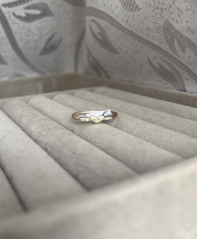 Anillo Eira