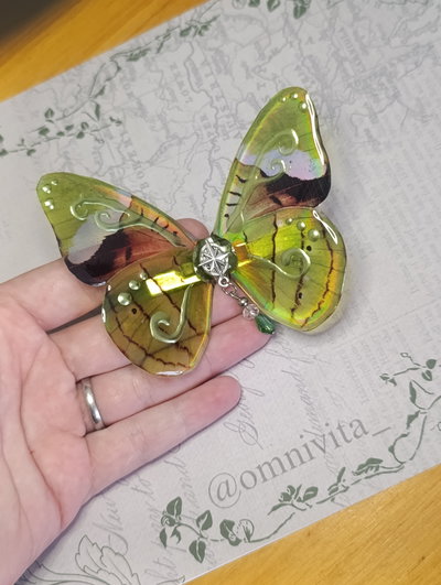 Hebilla tipo piraña mariposa 