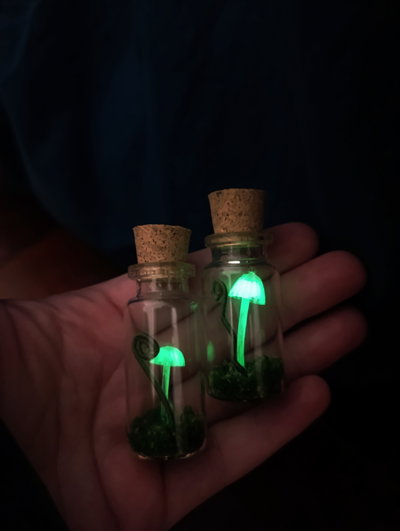 Mini honguitos fotoluminiscentes 