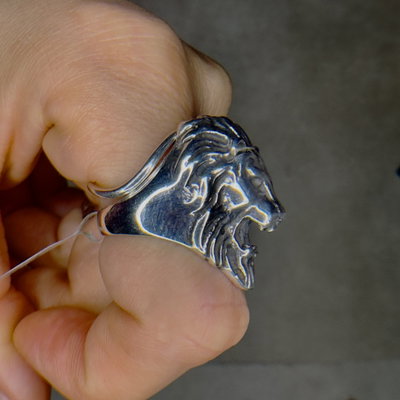 Anillo Leon