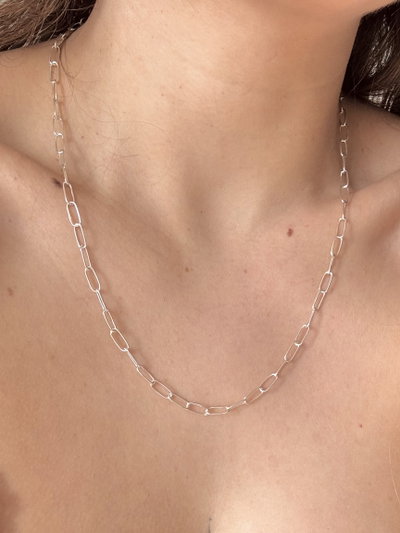 Collar Clipi Chico