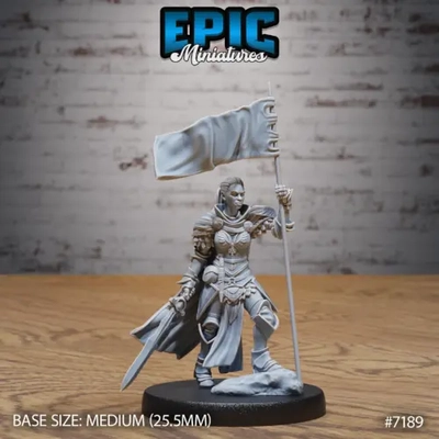 Estandarte de personaje femenino Paladín (Mediano)