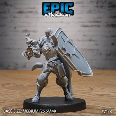 Paladín, personaje jugador masculino, magia 