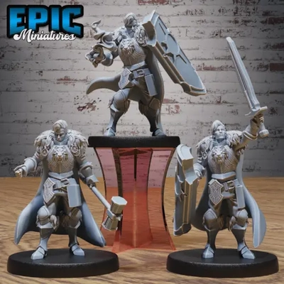 Conjunto de personaje jugador masculino Paladín